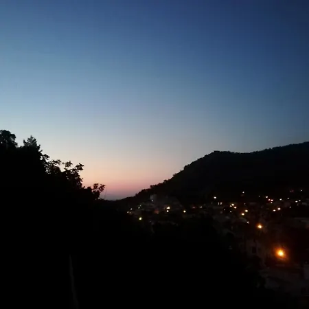 公寓式酒店 Hanli *